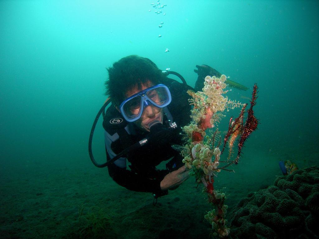 Camiguin Volcan Beach Eco Retreat & Dive Resort Mambajao Exterior foto