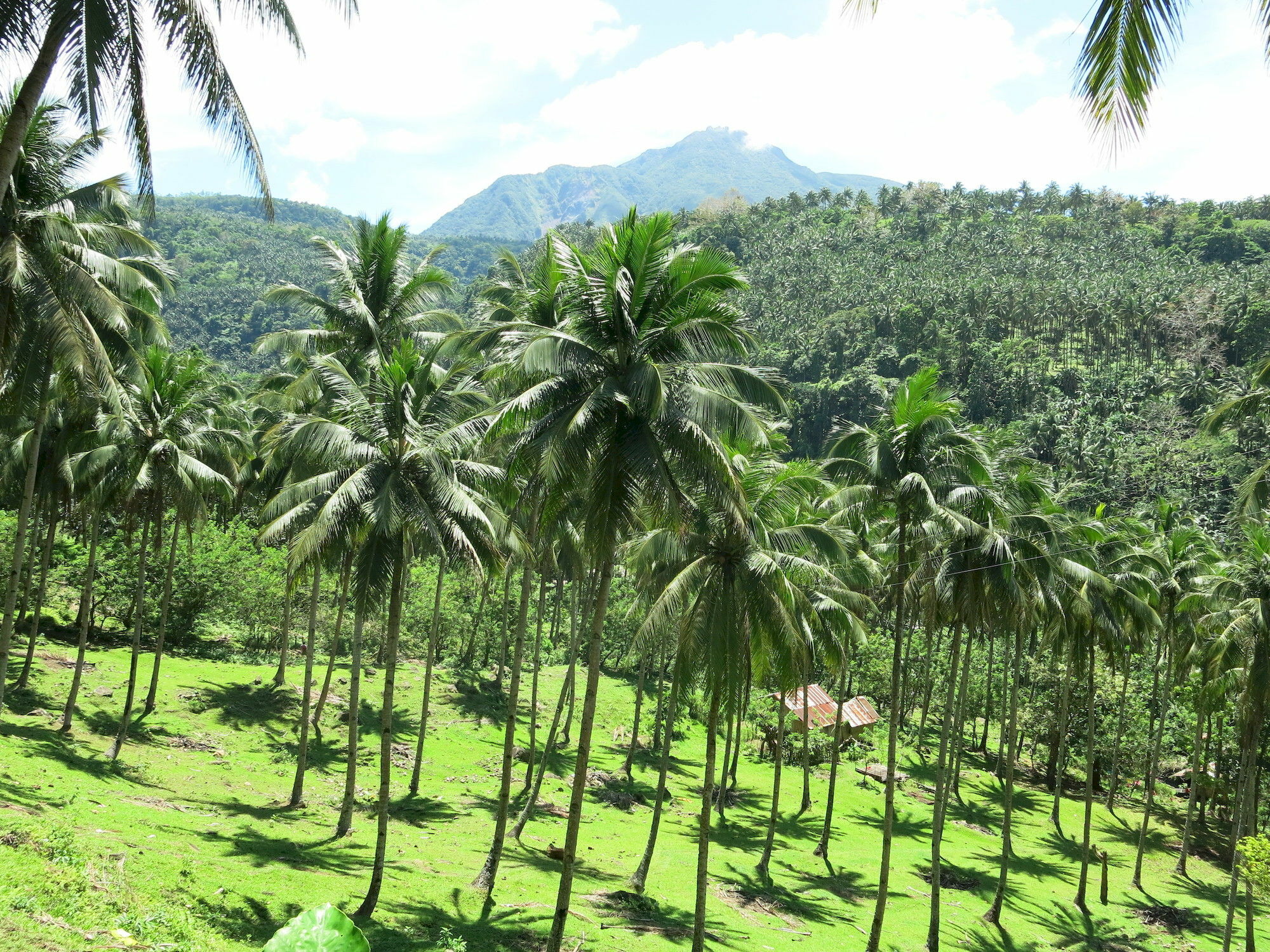Camiguin Volcan Beach Eco Retreat & Dive Resort Mambajao Exterior foto